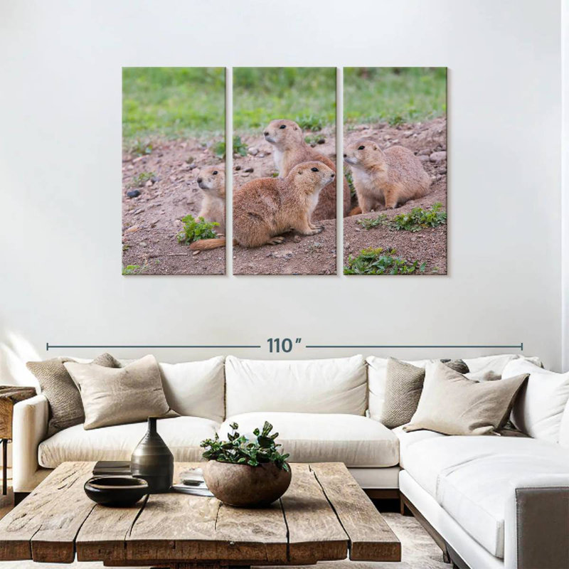 Brampt Forest Brampt Nursery, 48" H x 74" W