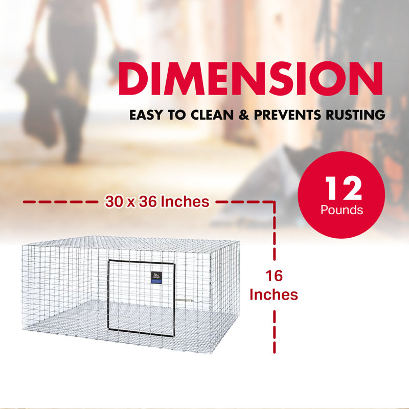Pavillon pour animal de compagnie Little Giant