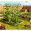A-Frame Metal Garden Trellis For Climbing Plants Outdoor With Net