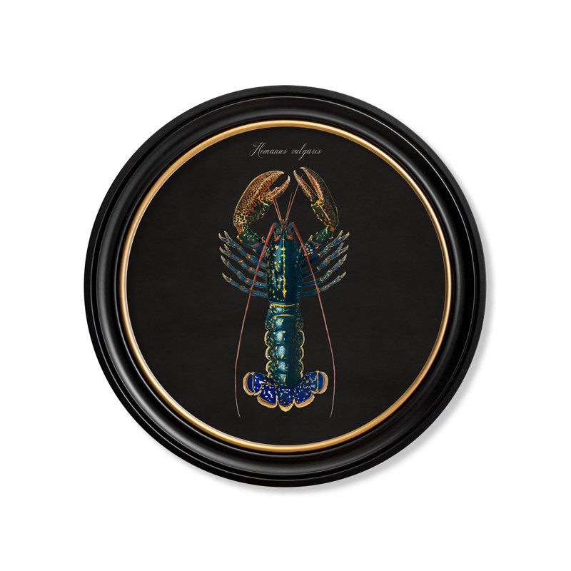 Lobster by Mid-1800s - Single Picture Frame Print on Archival Matt 230gsm Paper, Black