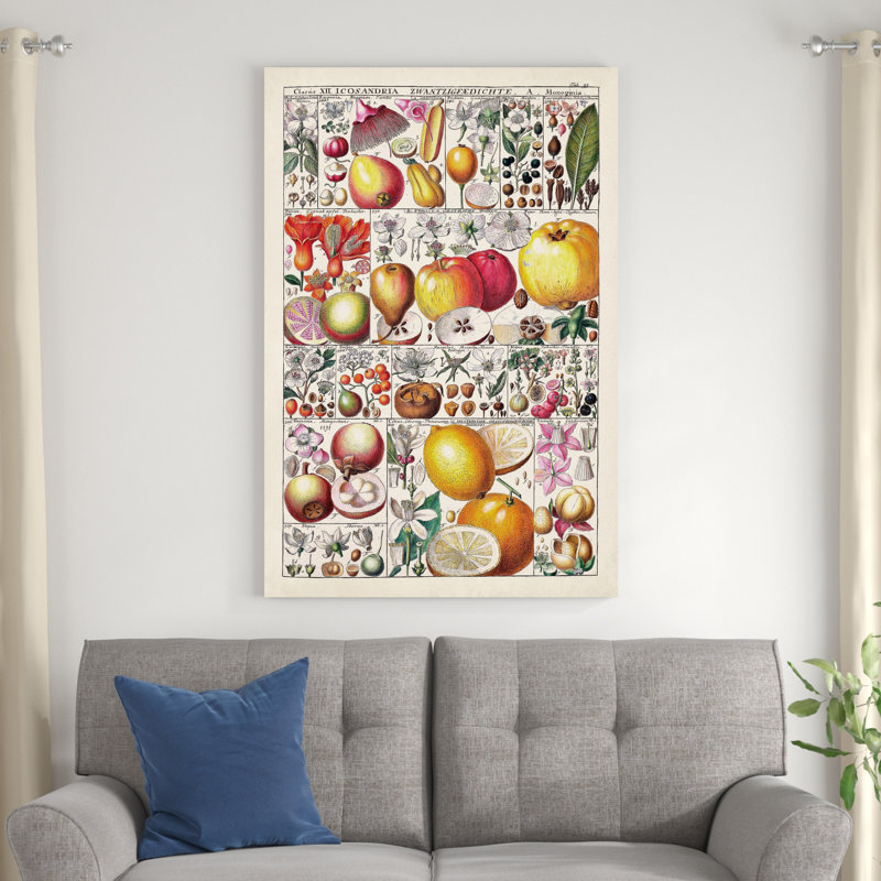 " Fruit Chart " Mixed Media Print, 48" H x 32" W