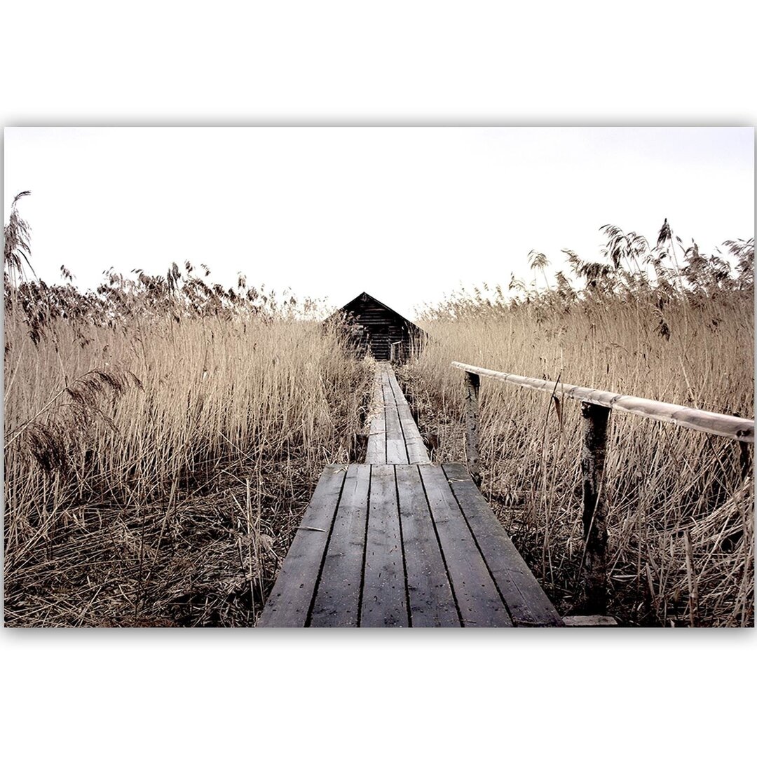 Leinwandbild Alte Brücke im hohen Schilf