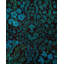 Fine Vibrance One-of-a-Kind 2' 7" X 12' 0" Hand Knotted Area Rug