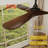 Bhradain 59.8'' Ceiling Fan with LED Lights