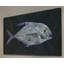 Pompano 1 Piece Wrapped Canvas Painting-19085342