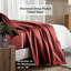 Ensemble de draps en coton égyptien de couleur unie à densité de tissage de 650 fils avec poches profondes-699434658-699434651