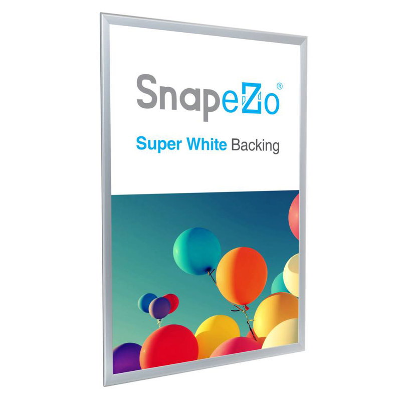 Snapezo Snap Frame Professional Series, Front Loading, Aluminum Poster Frame, 32" x 50", Silver