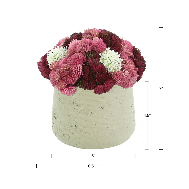 Assorted Sedum in Fiberstone Pot