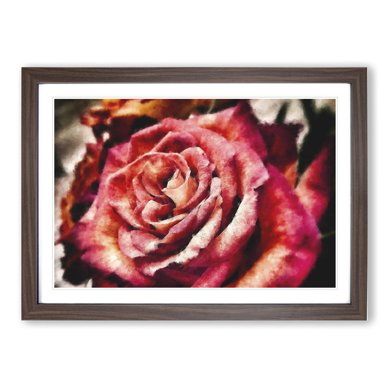 Pink Rose Flower Vol.4 - Framed Print, 27cm H x 36cm W x 2cm D, Walnut Framed