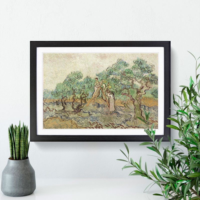The Olive Orchard by Vincent Van Gogh - Picture Frame Painting, Black Framed, 48cm H x 65cm W x 2cm D
