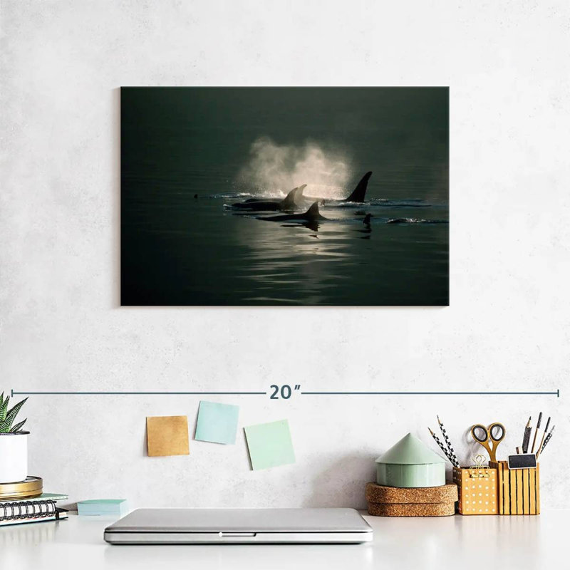 Brampt Orca Whale Pod, 8" H x 12" W