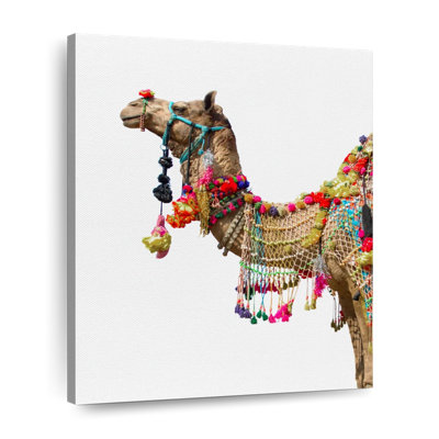 " Traditional Camel " by Emma P