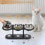 Elevated Feeder