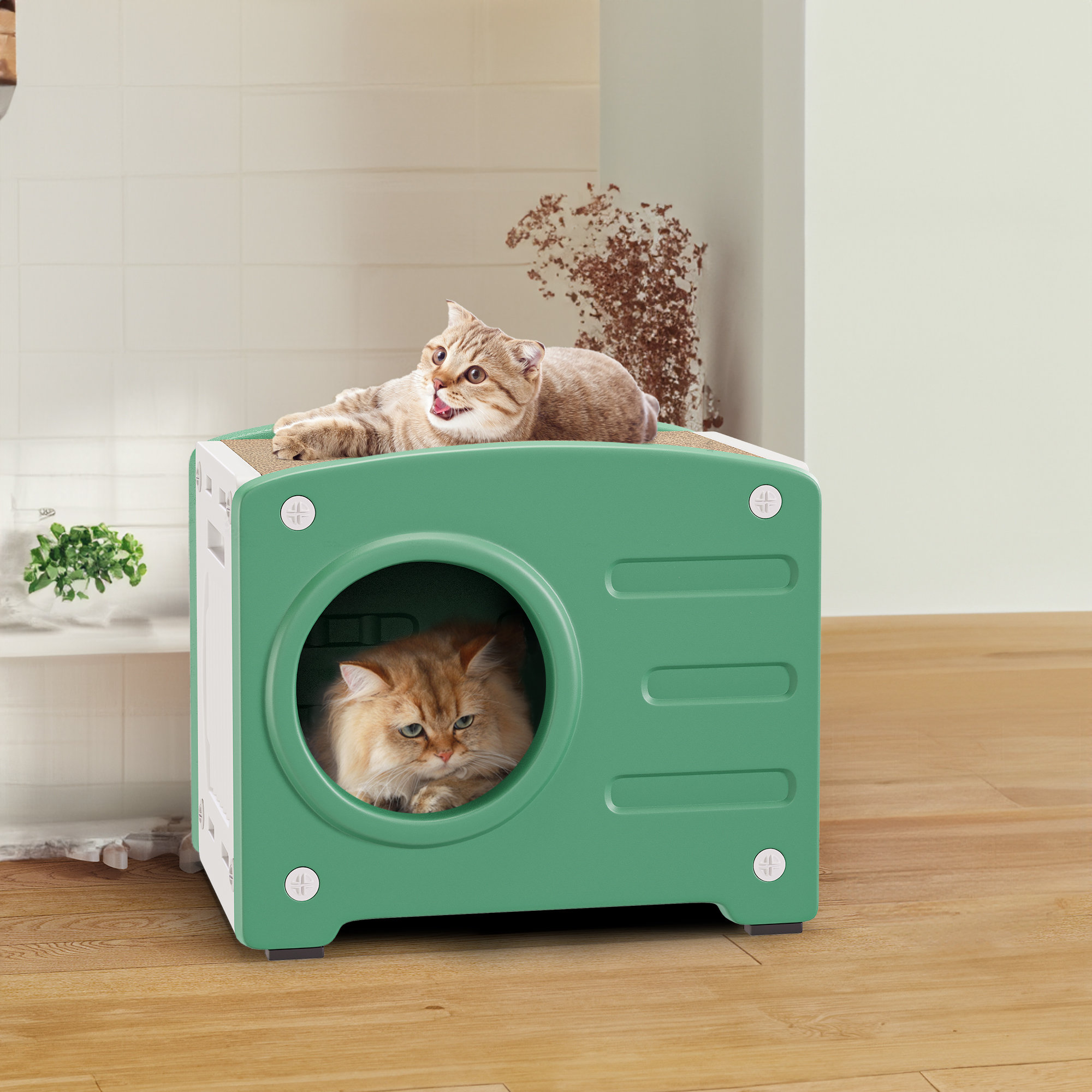 Tucker Murphy Pet™ Cat Litter Box Wayfair