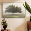 Arbres dans le brouillard II-233045860-233045856