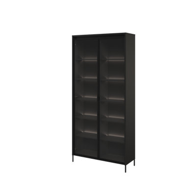 Vannatta Display Cabinet