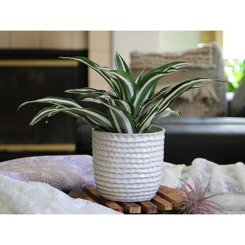 Petit pot de fleurs en céramique émaillée à motif nid d'abeille - Intérieur/Extérieur, Blanc mat