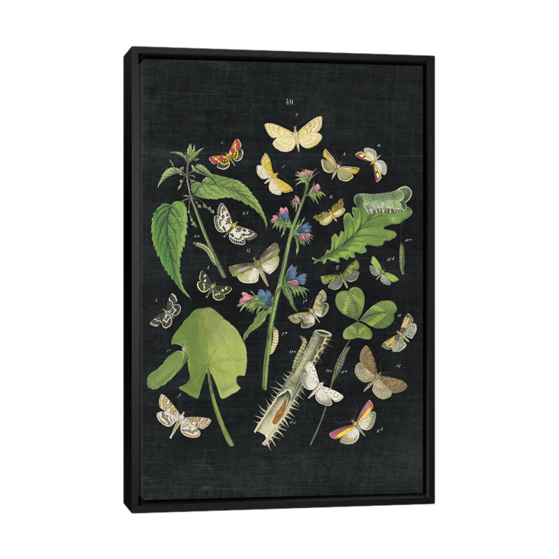« papillon bouquet iii », impression sur toile tendue, H 26 po x l 18 po x P 1,5 po, Toile avec cadre noir, Pas de tapis
