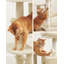 143cm H Cat Tree-100556295-100556302