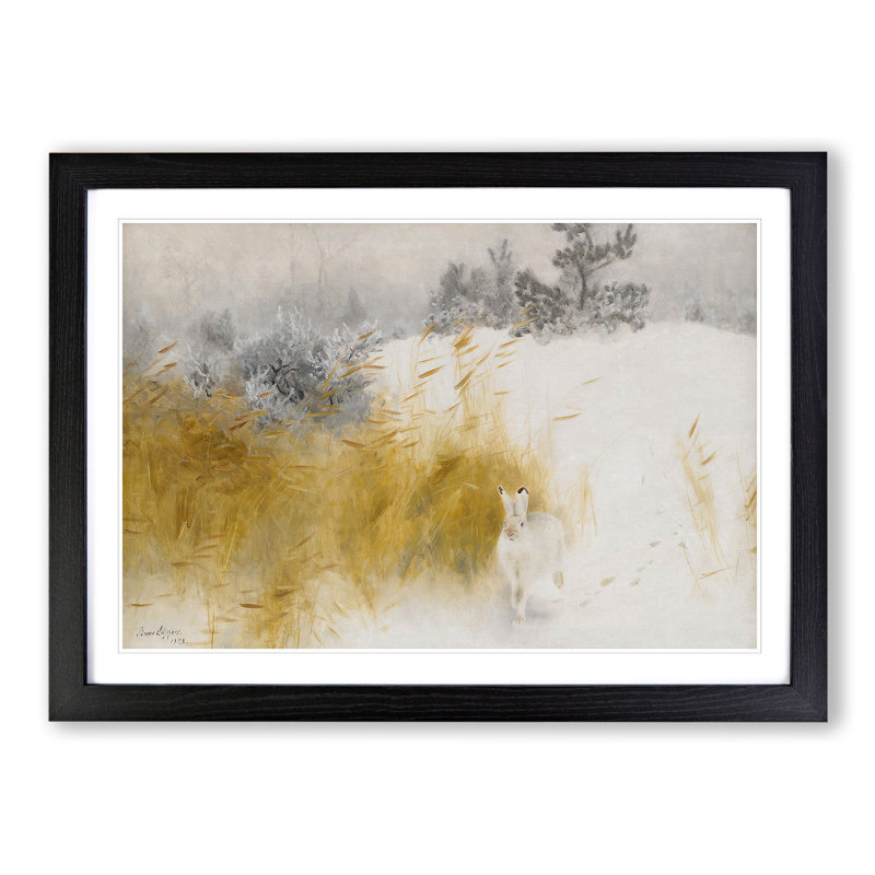 White Hare Vol.4 by Bruno Liljefors - Picture Frame Painting, 36cm H x 48cm W x 2cm D, Black