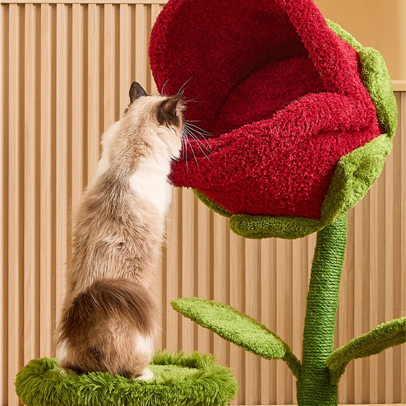 2 Tiers Cat Tree with Condons,Perch,Scratching Posts