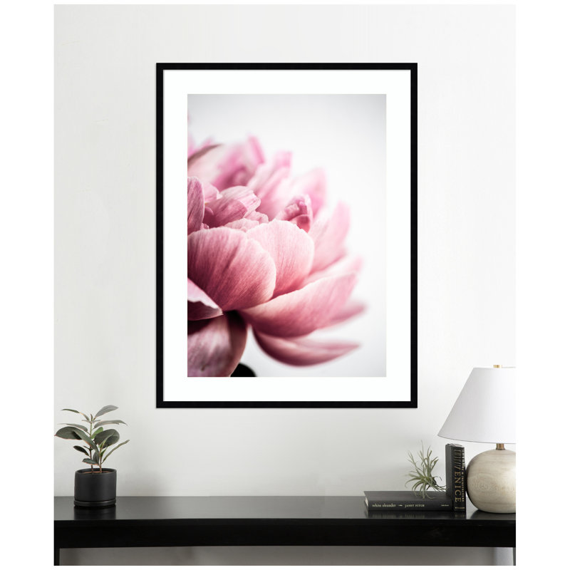 Pink Peony No1 by Dorceau Framed Wall Art Print