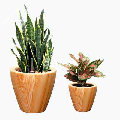 Dein 2-Pack 10 in. Plastic Self-watering Planter Pot