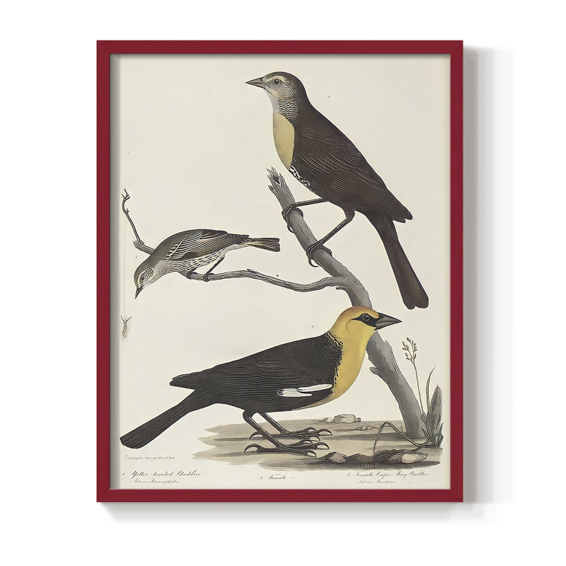 «Vintage Animal Print XVIII», reproduction encadrée - bois massif, H 15 po x l 12 po, Rouge