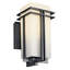 Lanterne murale extérieure noire Tremillo 11,75 po à 1 lumière-297074401