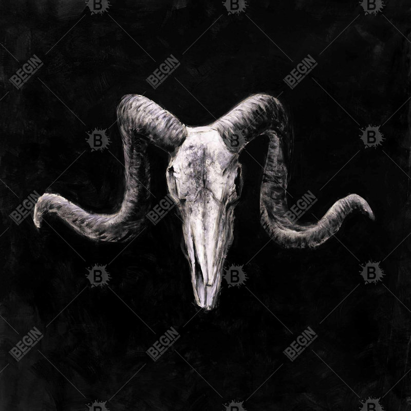 «Skeleton Skulls», art grunge sur toile encadrée, Gris / Noir, Doré