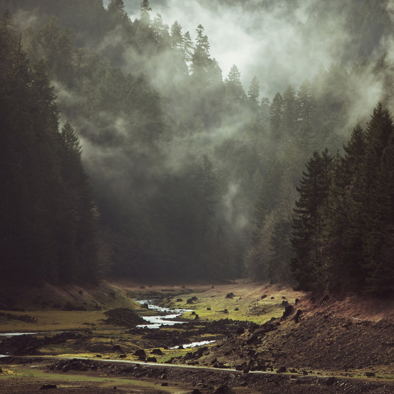 Ruisseau Foggy Forest, H 12 po x l 12 po