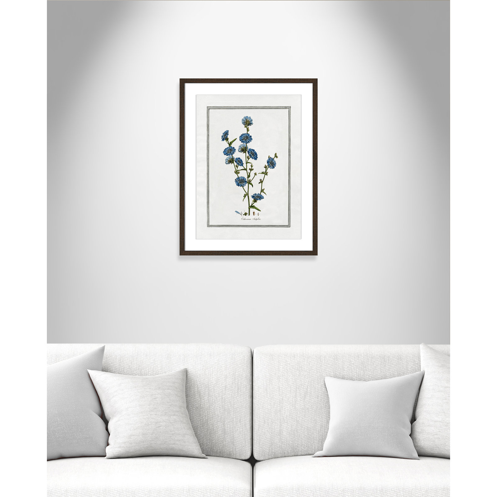 Colombe "Soft Botanical I" Print, 17" W x 23" H, Walnut Framed