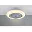 Ehrentraud 50cm Ceiling Fan with LED Lights-1915355207