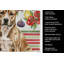 Torchon Brindle American Staffordshire-322069907