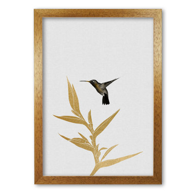 Hummingbird & Flower II - Print