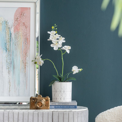 Pot de fleurs en céramique
