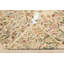 Tapis traditionnel beige en laine tissé à la main 5 x 8