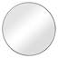 Lillianna Metal Flat Wall Mirror-467835924-497745747