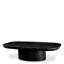 Rouault Coffee Table