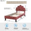 Upholstered Bed-1060511603