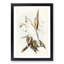 Blood-Stained Cockatoos by Elizabeth Gould - Picture Frame Art Print-55545448-55545447