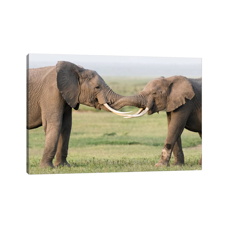 Africa, Kenya, Amboseli National Park. Elephants Greeting by Jaynes Gallery - Wrapped Canvas Print, 20.32 cm H x 30.48 cm W