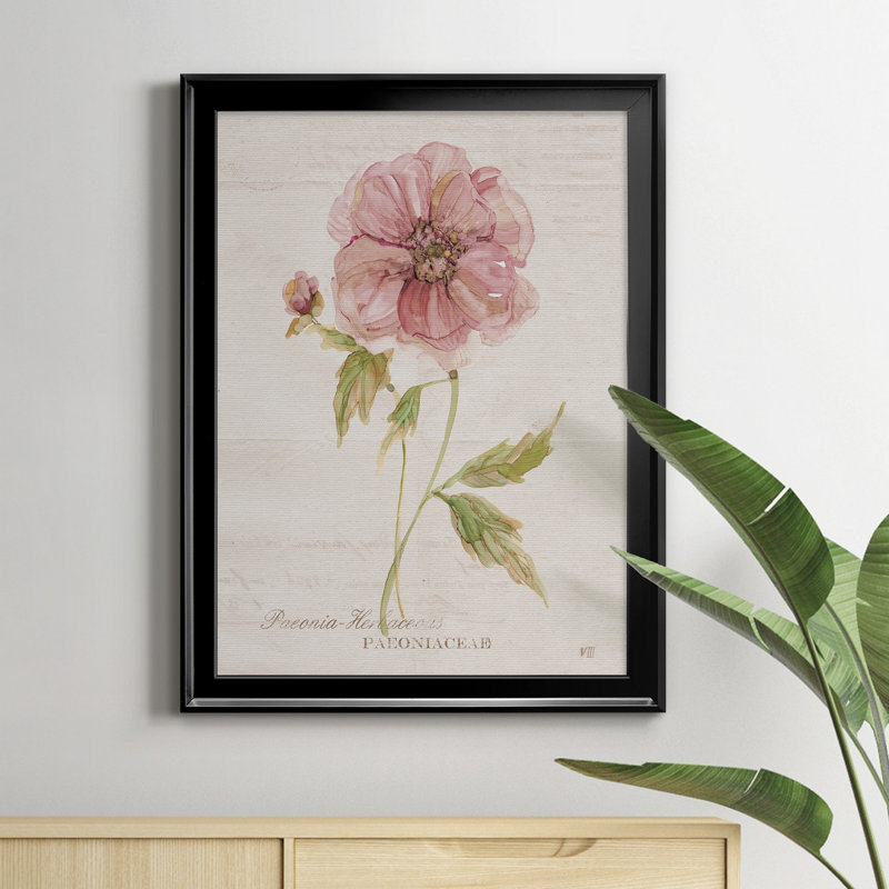 Soft Peony - peinture sur toile encadrée, Noir, H 18,5 po x l 24,5 po x P 1,5 po