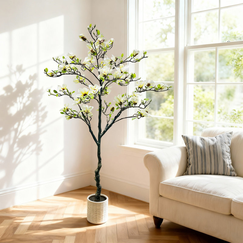 180cm Plant