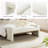 Arlesia Modern Upholstered Accent Bench-1580772834