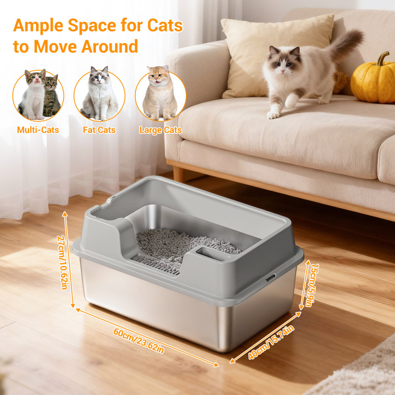 Litter Box