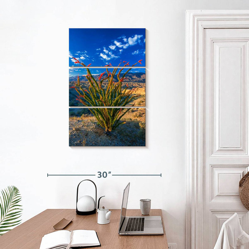Harnek Ocotillo In Anza Borrego, 32'' H x 20'' W