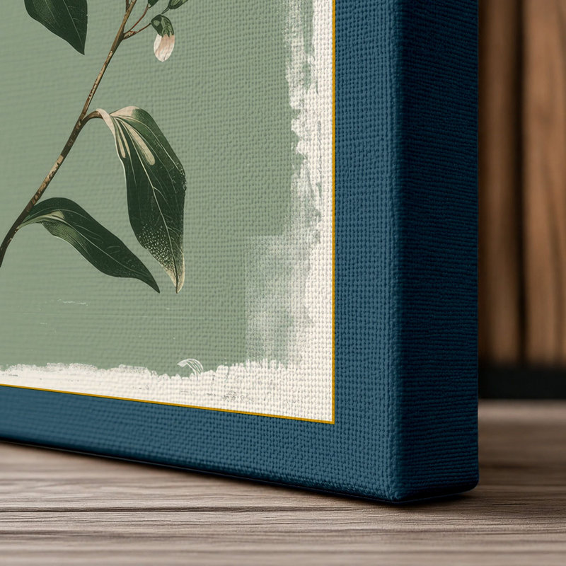 White Flowering Study Botanical - Wrapped Canvas, 36x24 - 91.4 x 61.0 cm, Teal Border