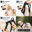 Harnais pour chien sans traction