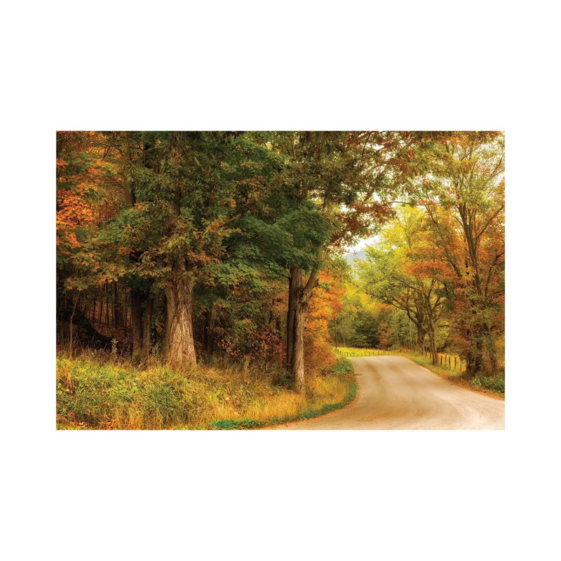 Autumn's First Day by Andy Amos - Wrapped Canvas Print, 30.48 cm H x 45.72 cm W
